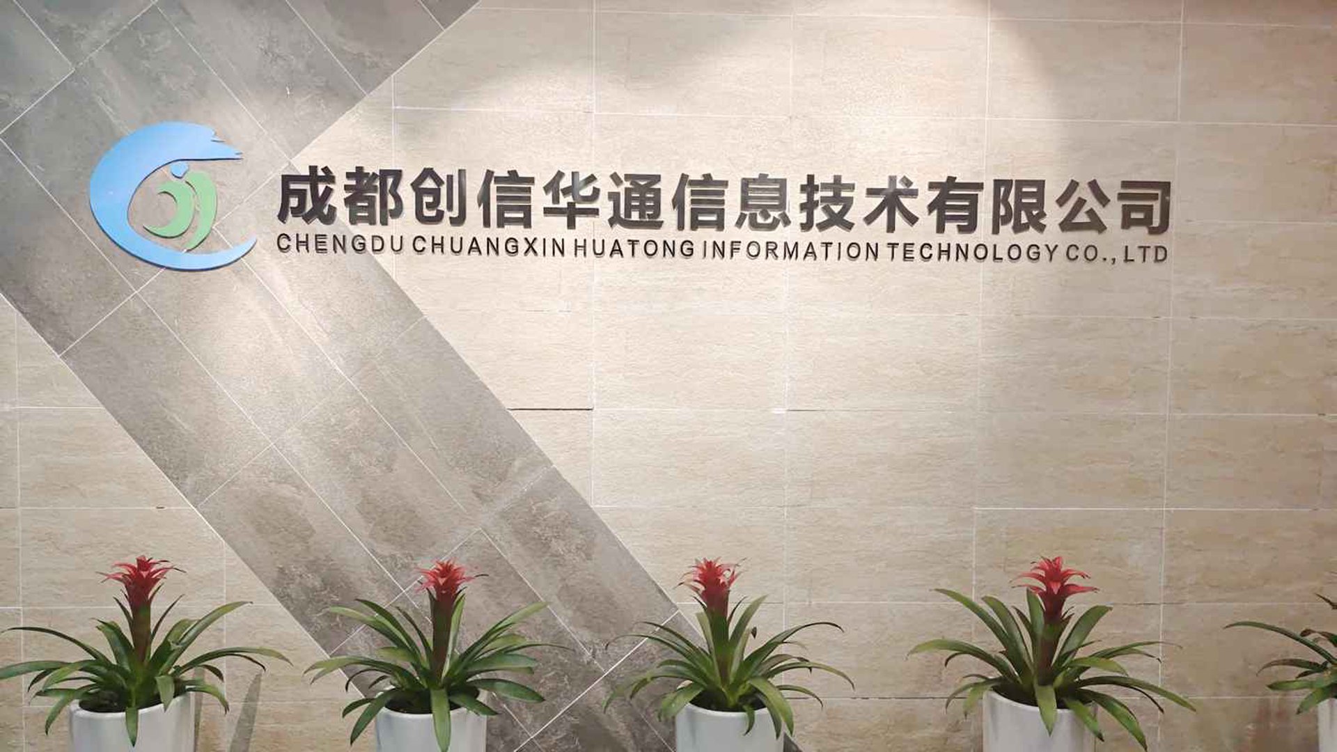 信辰网络科技